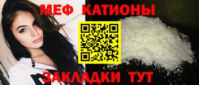 тгк Бийск