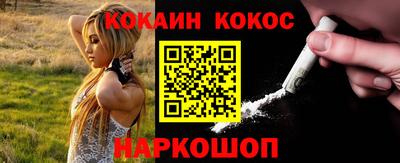 тгк Бийск