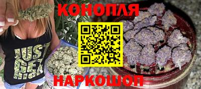 тгк Бийск