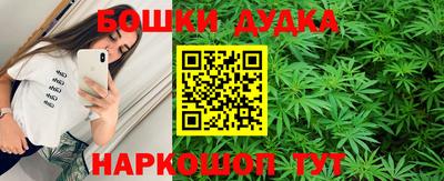 тгк Бийск