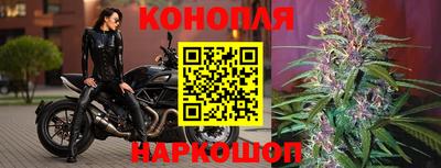 тгк Бийск