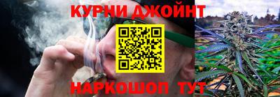 тгк Бийск