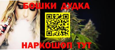 тгк Бийск