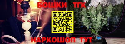 тгк Бийск