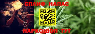 тгк Бийск