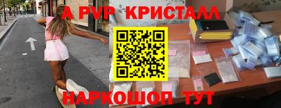 тгк Бийск