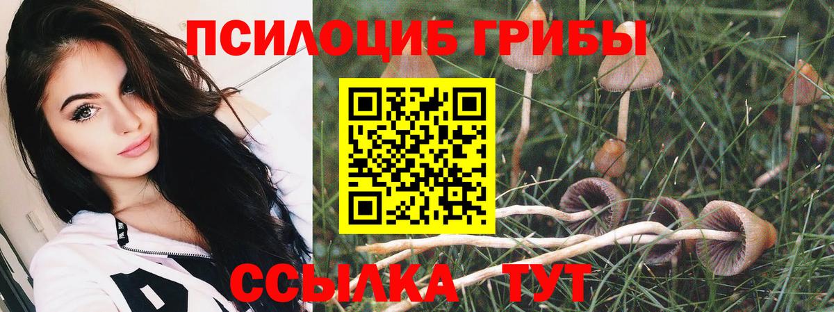 Псилоцибиновые грибы ЛСД Ишимбай