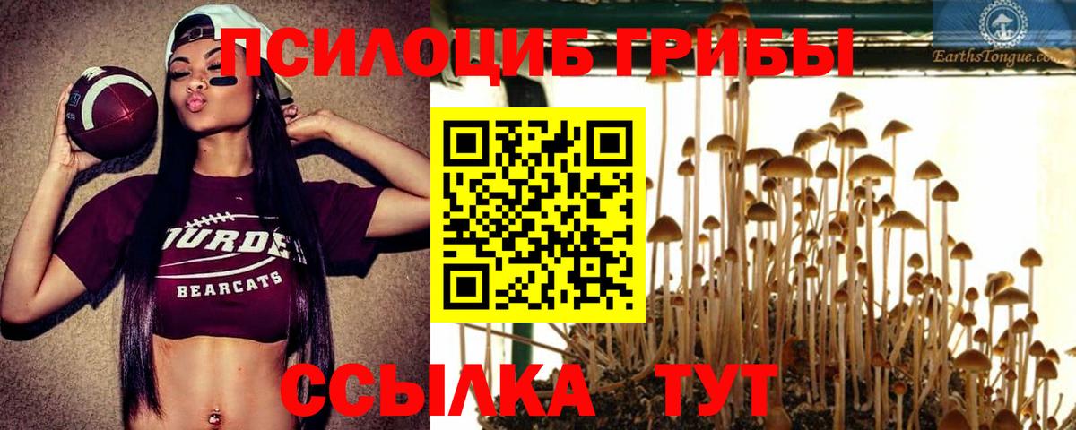 Галлюциногенные грибы ЛСД  Вход с VPN  Ишимбай 